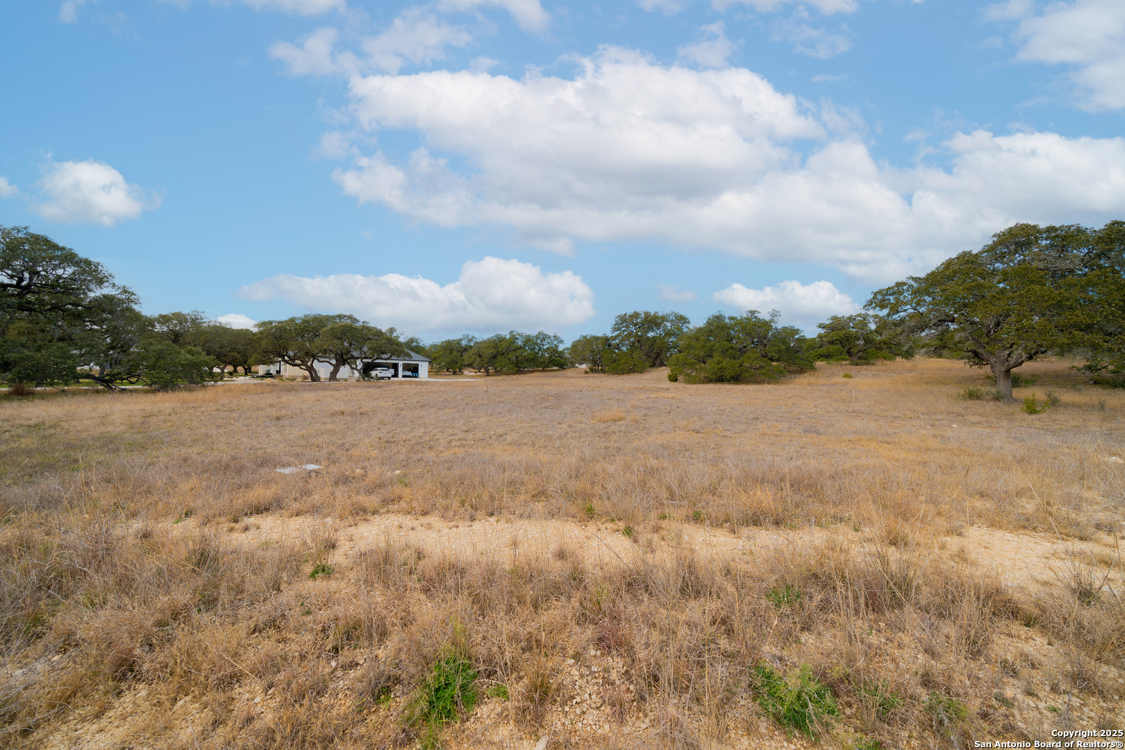 978 Maximino Ridge Rd. Bulverde, TX 78163 - Photo 6 of 19