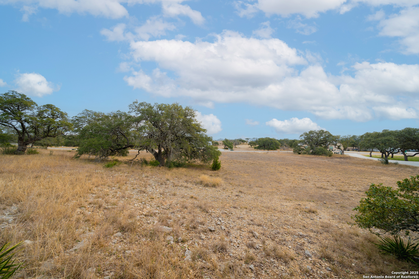 978 Maximino Ridge Rd. Bulverde, TX 78163 - Photo 7 of 19