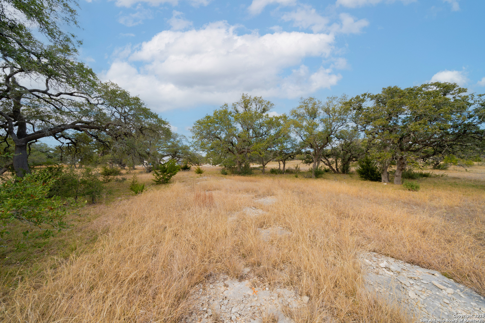 978 Maximino Ridge Rd. Bulverde, TX 78163 - Photo 9 of 19