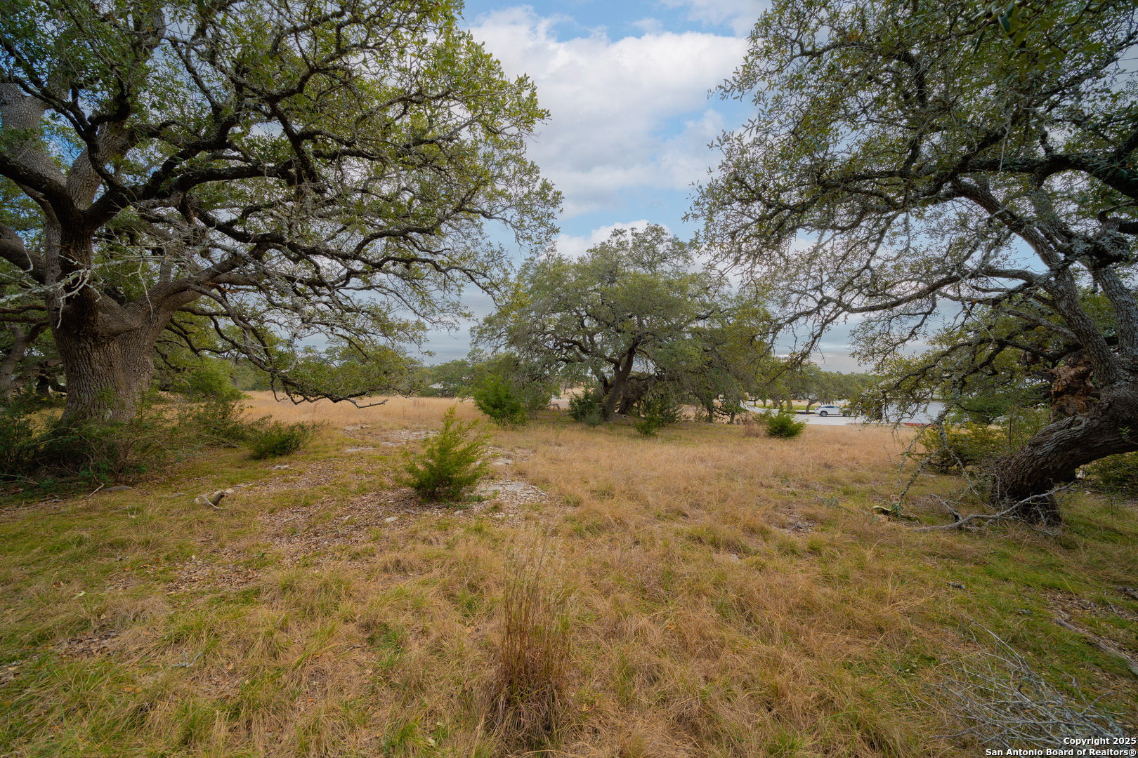 978 Maximino Ridge Rd. Bulverde, TX 78163 - Photo 10 of 19