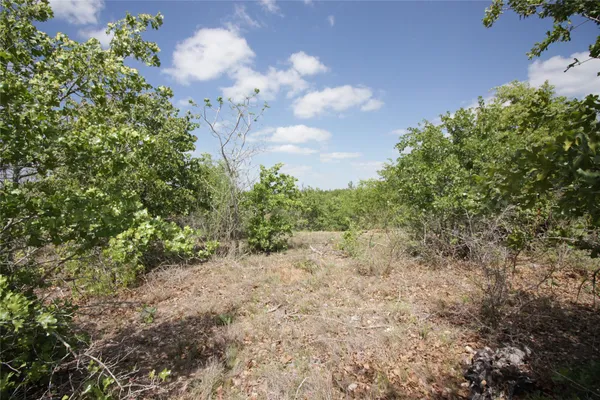 $195,000 | Tbd River Forest Drive, Bastrop, TX 78602