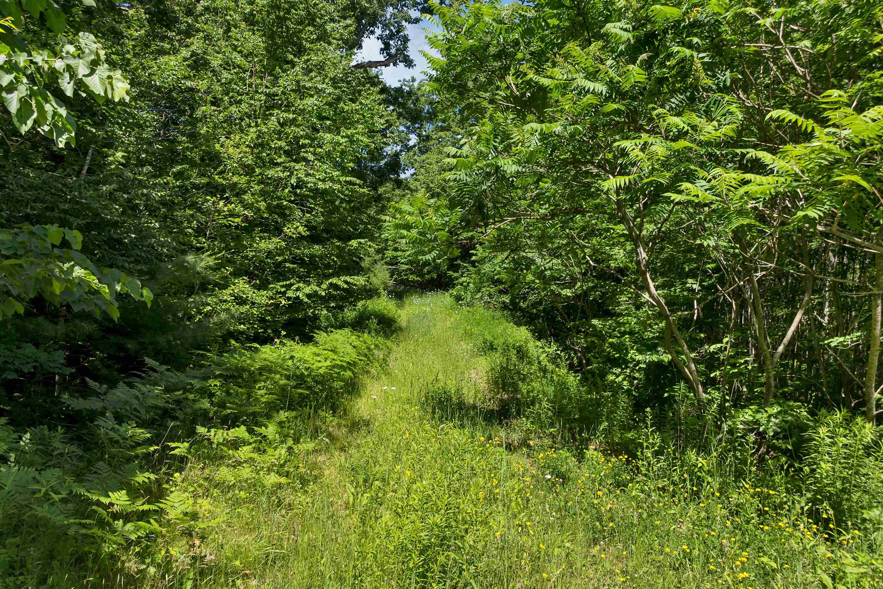 0 Beaver Pond Road Moultonborough, NH 03254 - Photo 34 of 46