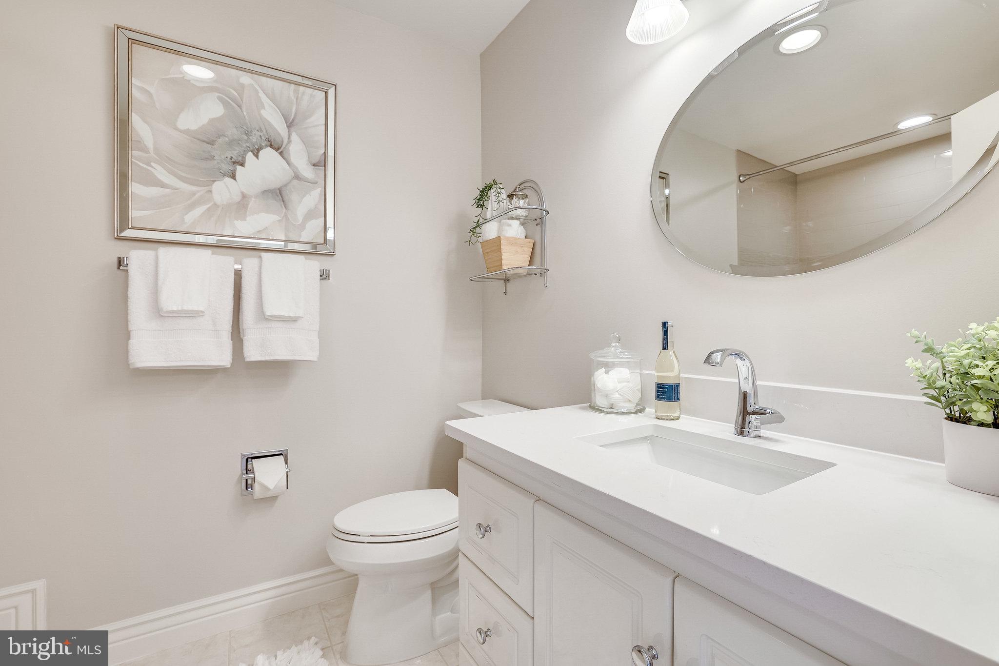 2024 Lakebreeze Way Reston, VA 20191 - Photo 49 of 95 a bathroom with a toilet a sink and mirror