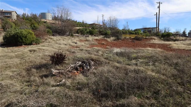 a view of a dry yard with trees