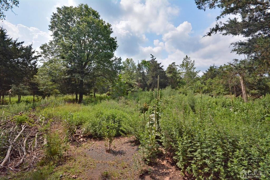 355 Metlars Lane Piscataway, NJ 08854 - Photo 29 of 29 a view of a yard with a tree