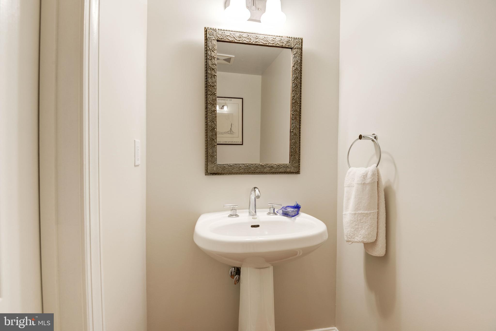 11719 Blue Smoke Trail Reston, VA 20191 - Photo 42 of 76 powder room.