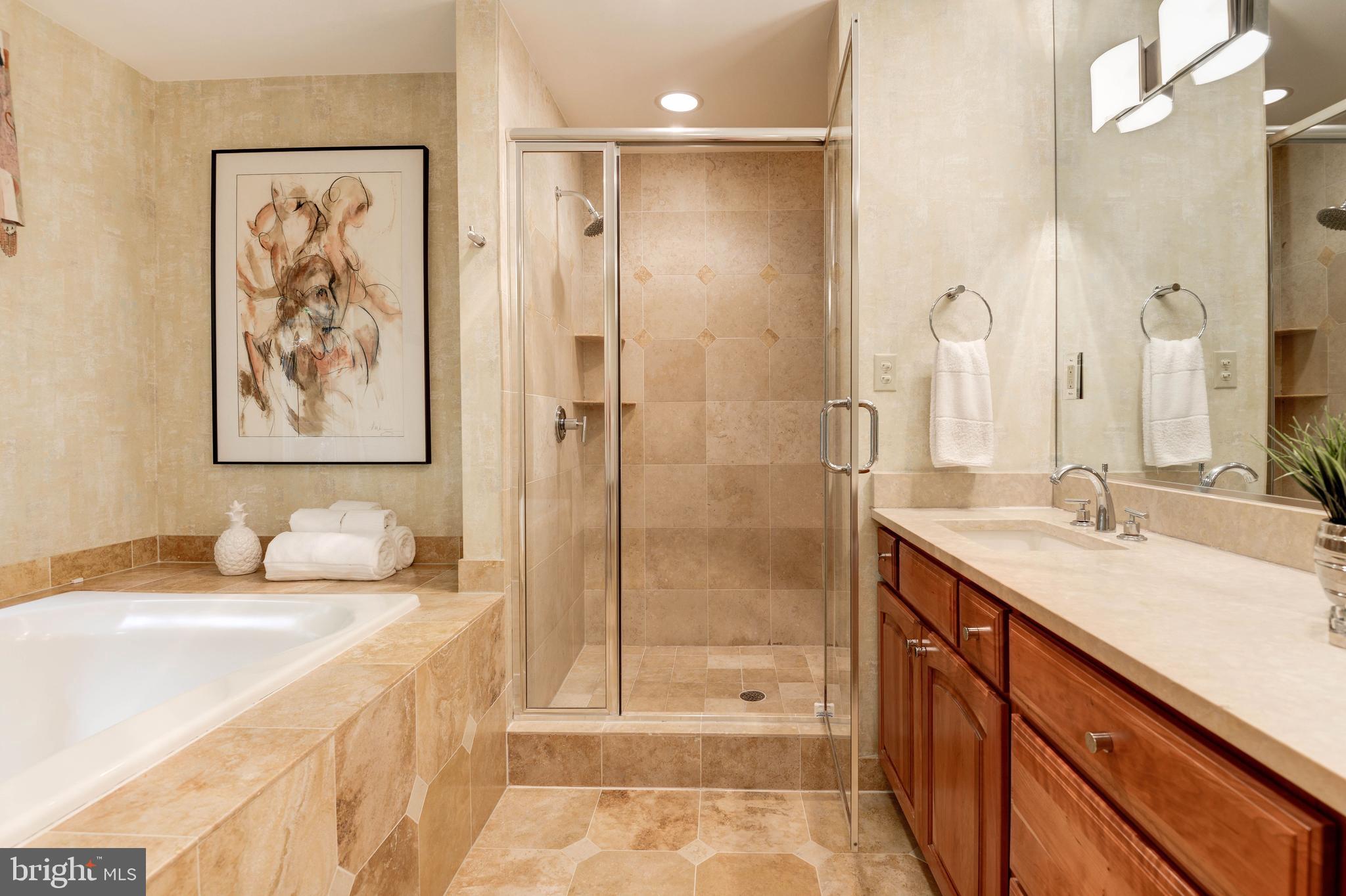 11719 Blue Smoke Trail Reston, VA 20191 - Photo 48 of 76 Master bath semi ...frameless shower enclosure
