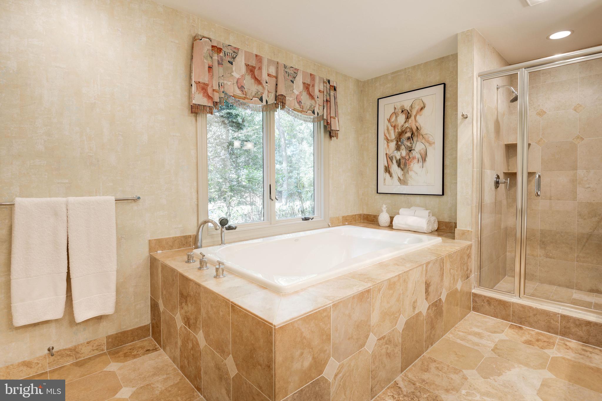11719 Blue Smoke Trail Reston, VA 20191 - Photo 50 of 76 ,,,jetted tub, Kohler fixtures...