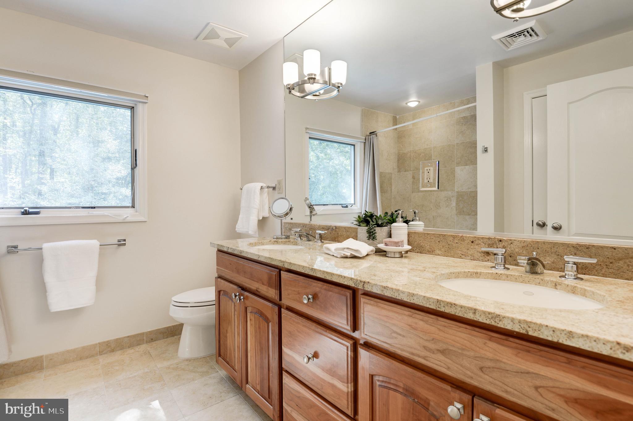 11719 Blue Smoke Trail Reston, VA 20191 - Photo 59 of 76 Hall bath with double vanities.