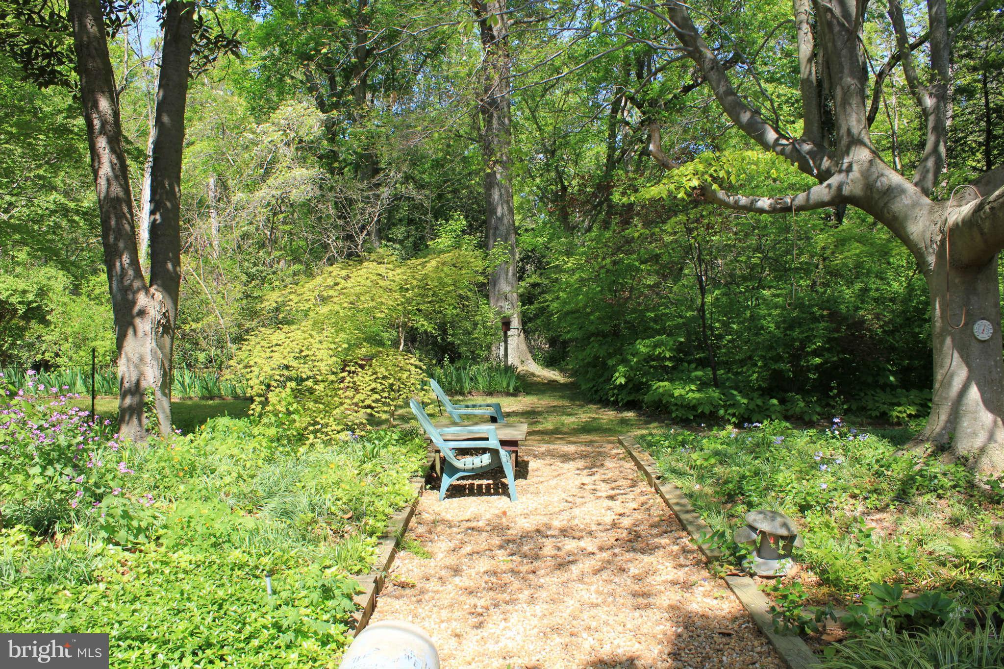 11101 Gunston Road Mason Neck, VA 22079 - Photo 18 of 30 Side Yard