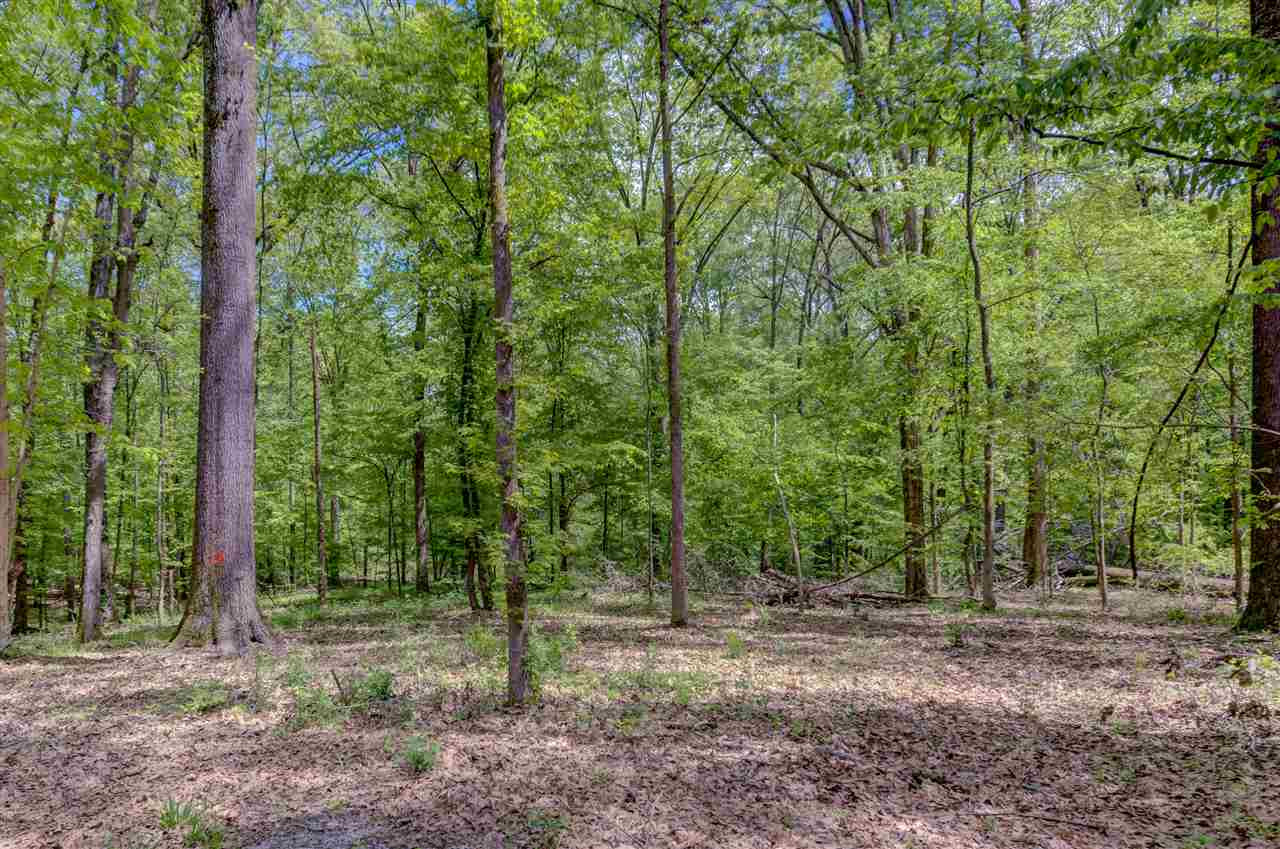 3480 Military Road Edwards, MS 39066 - Photo 24 of 35 Photo 24