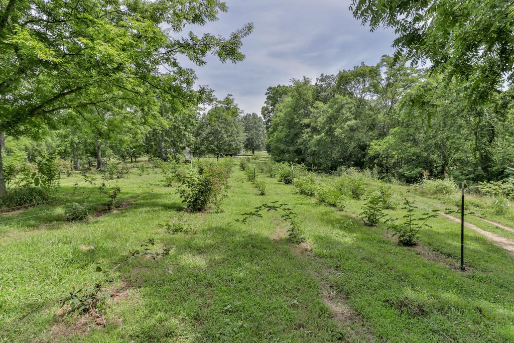 507 Sands Road Pulaski, TN 38478 - Photo 25 of 30