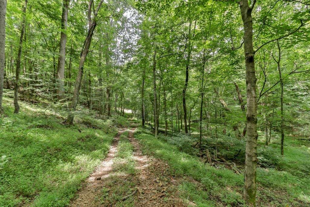 507 Sands Road Pulaski, TN 38478 - Photo 28 of 30