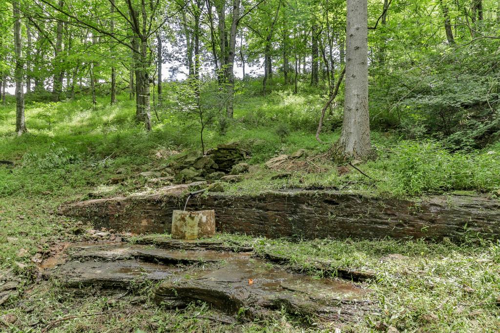 507 Sands Road Pulaski, TN 38478 - Photo 29 of 30