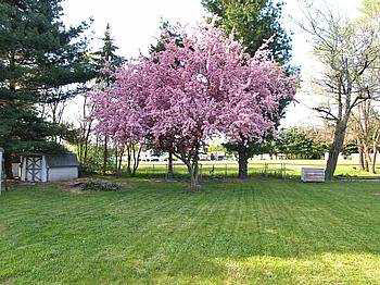 10055 Edison Road Osceola, IN 46561 - Photo 7 of 8 Gallery Image 7