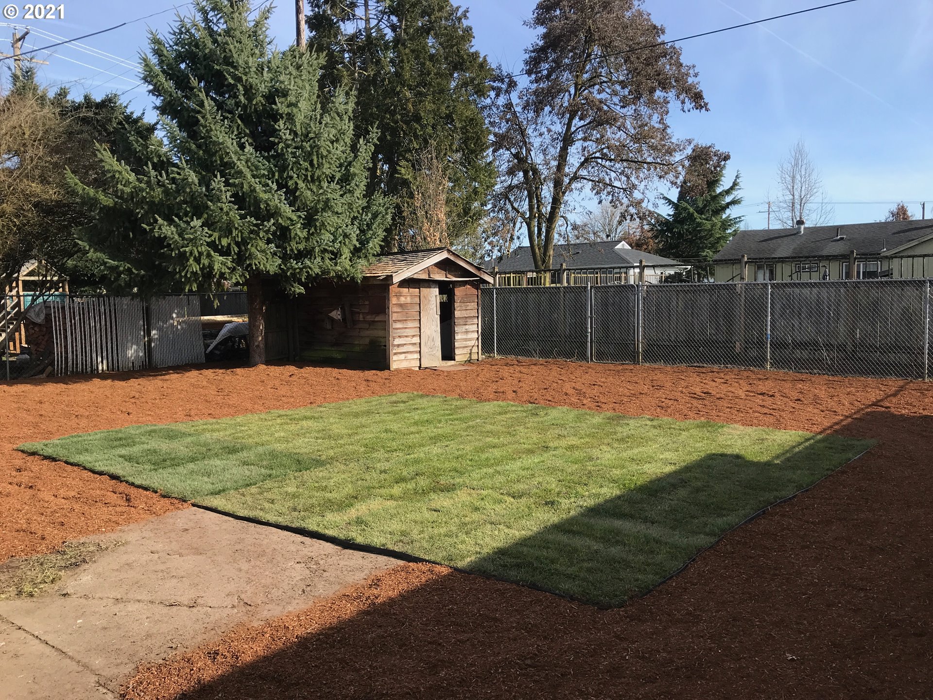 1369 M Street Springfield, OR 97477 - Photo 4 of 18