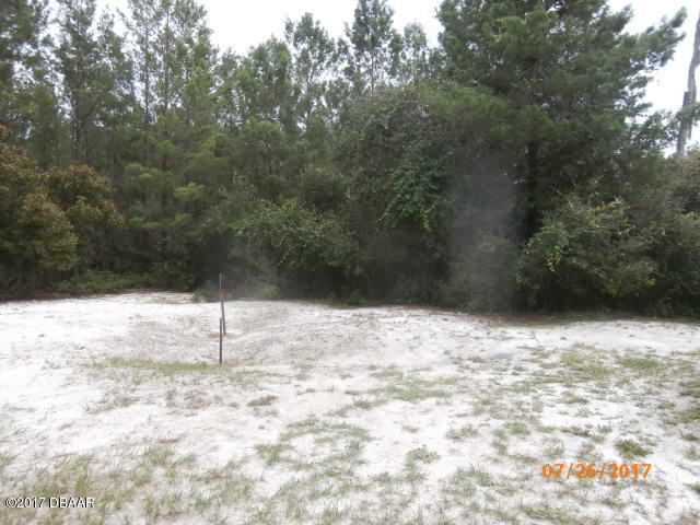 44025 Sterling Road Paisley, FL 32767 - Photo 8 of 9 P7260228
