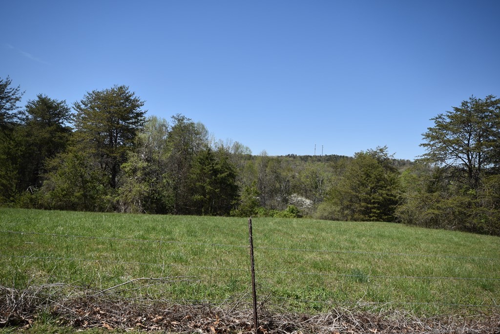 827 Hinkle Road Seymour, TN 37865 - Photo 3 of 24 Gallery Image 3
