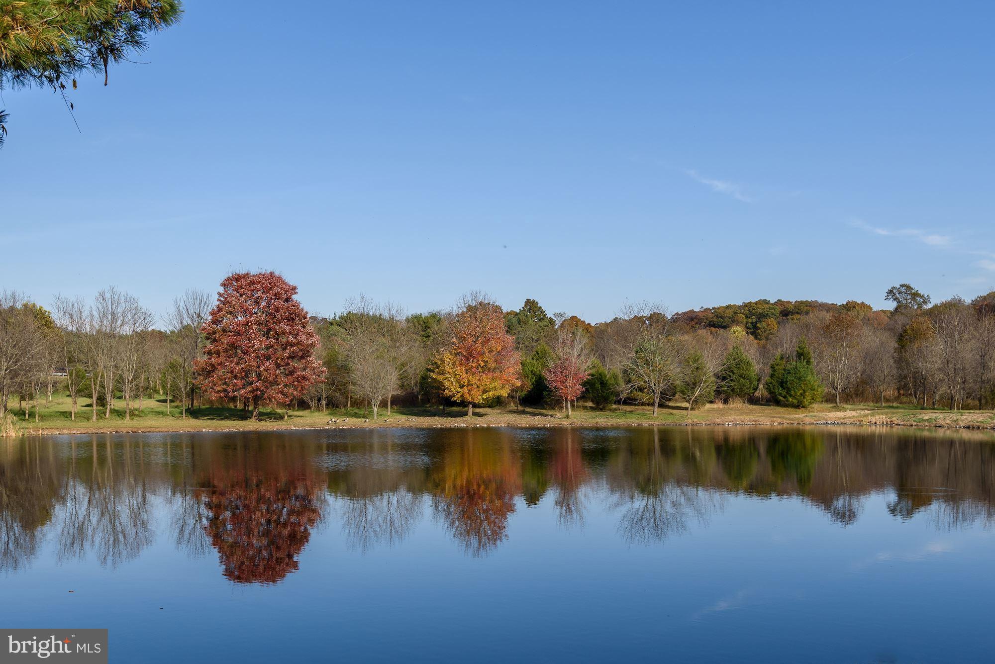 1221 Emmaus Road Woodbine, MD 21797 - Photo 14 of 56 Gallery Image 14
