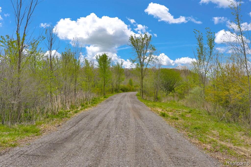 0 Martin Road Capac, MI 48014 - Photo 12 of 20