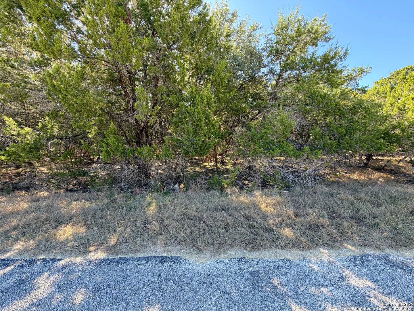 426 Clay Ridge Canyon Lake, TX 78133 - Photo 3 of 8 a view of a dirt road with trees in the background