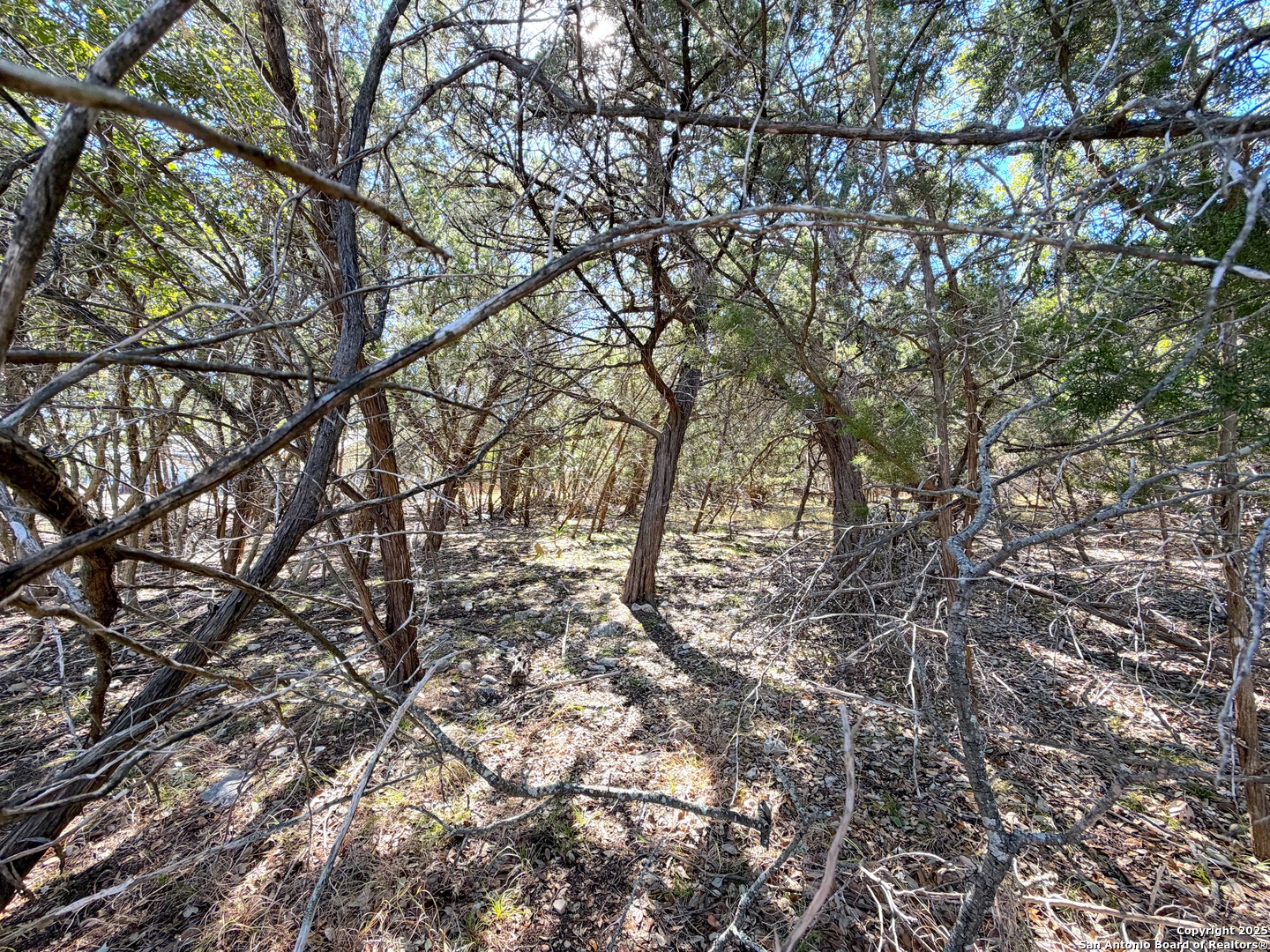 426 Clay Ridge Canyon Lake, TX 78133 - Photo 6 of 8