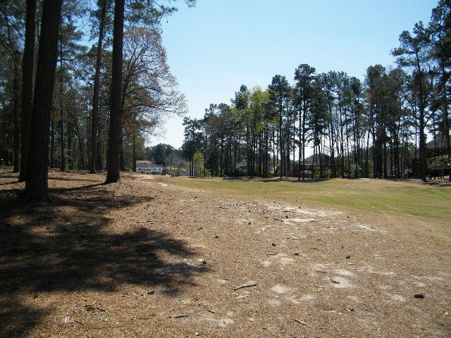 40 Juniper Loop Aiken, SC 29803 - Photo 33 of 39 Fairway View