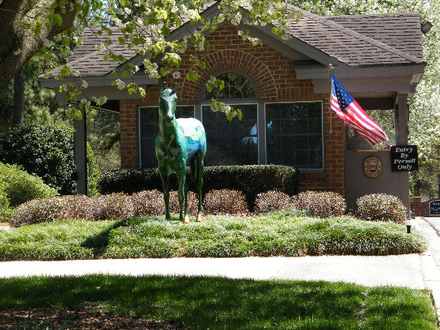 40 Juniper Loop Aiken, SC 29803 - Photo 36 of 39 Gallery Image 36