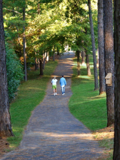 40 Juniper Loop Aiken, SC 29803 - Photo 38 of 39 Gallery Image 38