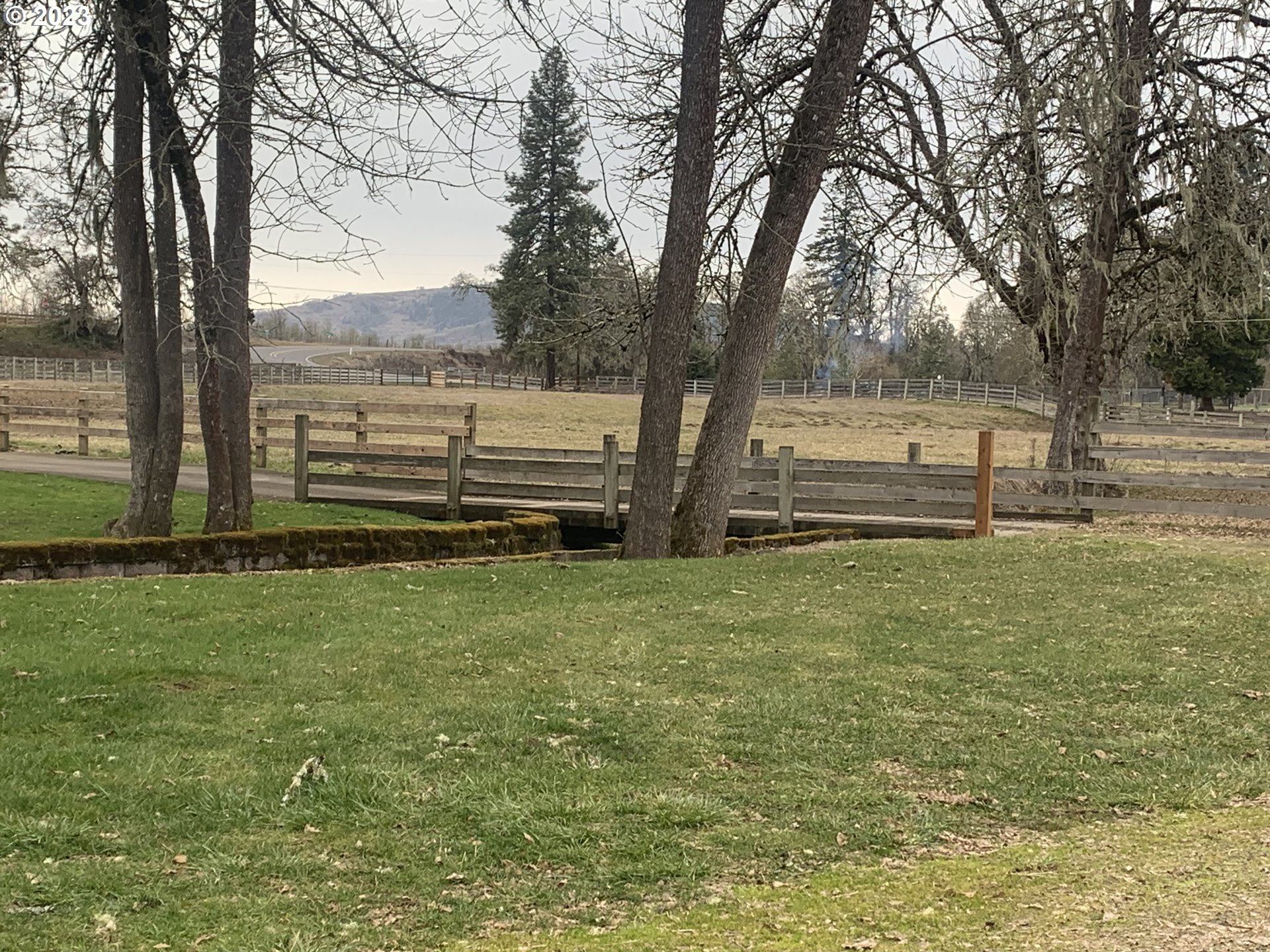 36934 Wheeler Road Pleasant Hill, OR 97455 - Photo 17 of 31 a view of a backyard with large trees