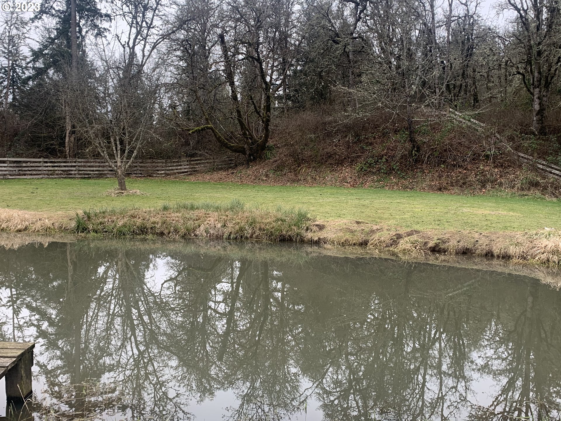 36934 Wheeler Road Pleasant Hill, OR 97455 - Photo 28 of 31 a view of a lake with a yard and large trees