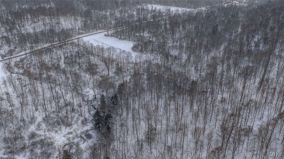 7657 Wadsworth Road Wolcott, NY 14590 - Photo 6 of 9 Lot lines are approximate, see survey for actual b