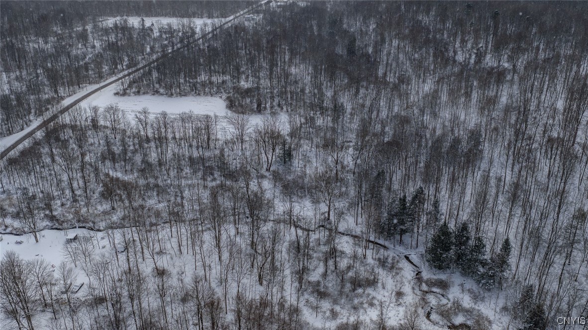 7657 Wadsworth Road Wolcott, NY 14590 - Photo 7 of 9 Lot lines are approximate, see survey for actual b