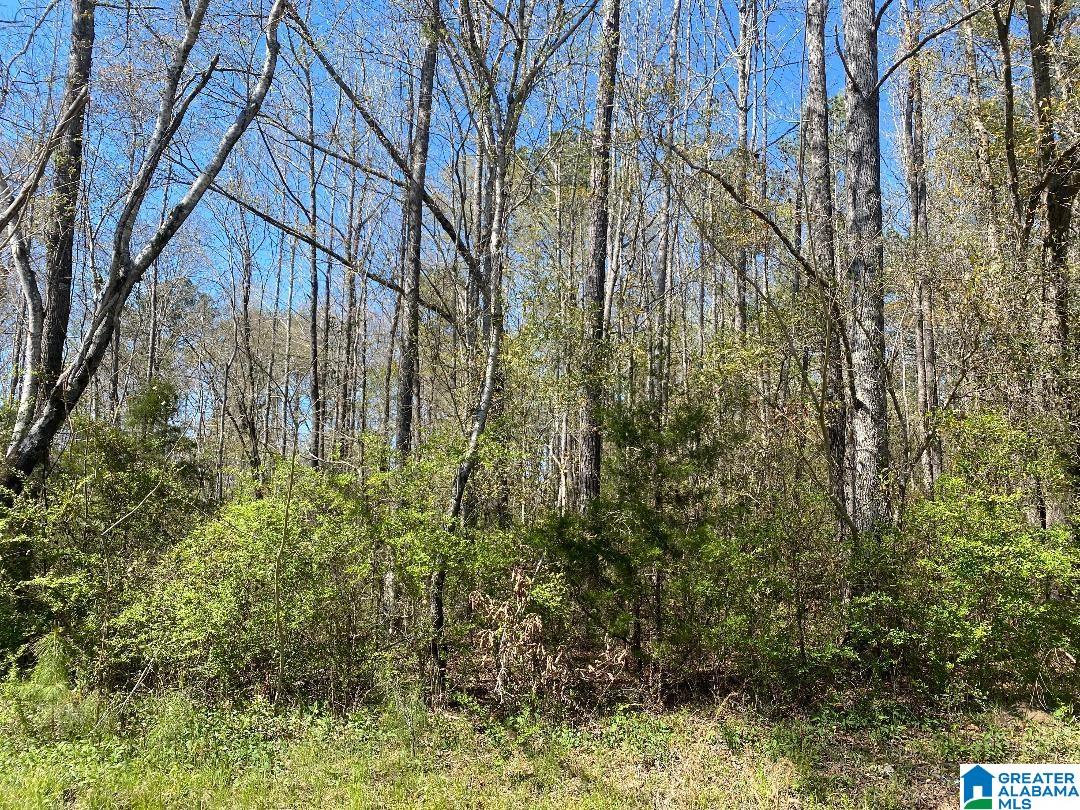 Cedrum Road Carbon Hill, AL 35549 - Photo 2 of 4