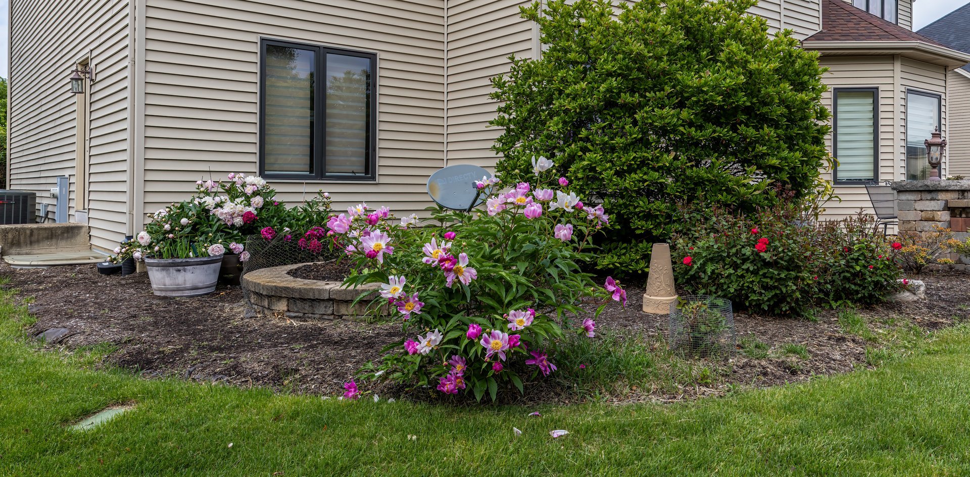 1887 Snead Street Bolingbrook, IL 60490 - Photo 45 of 49 a view of a potted plant sitting in front of a house