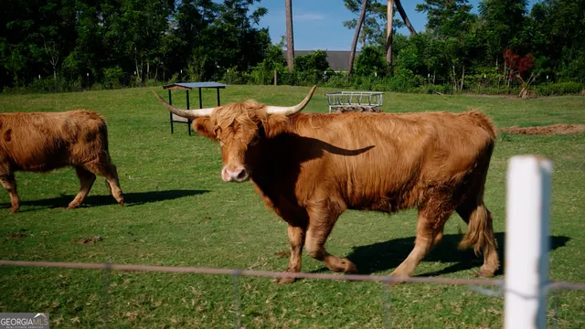 a bedroom with a bed and a television