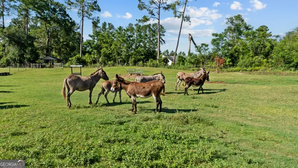 $2,750,000 | 485 Beaver Kreek Road, Douglas, GA 31533
