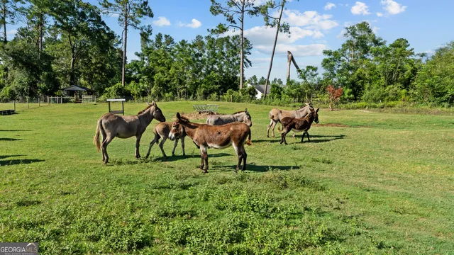 $2,750,000 | 485 Beaver Kreek Road, Douglas, GA 31533