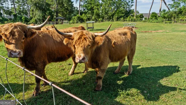 $2,750,000 | 485 Beaver Kreek Road, Douglas, GA 31533