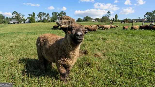 $2,750,000 | 485 Beaver Kreek Road, Douglas, GA 31533