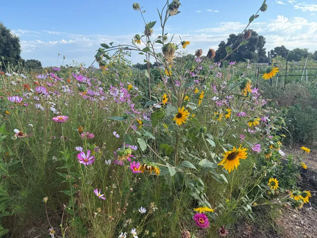 $599,000 | 664 Whitewater Way, West Sacramento, CA 95605