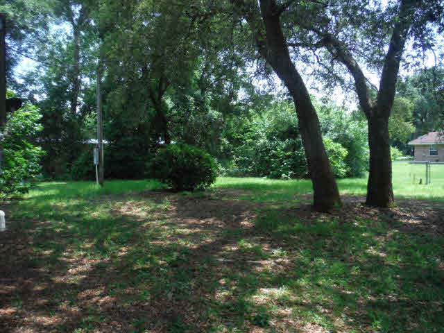 13103 5th Street Lillian, AL 36549 - Photo 37 of 37 Back Yard