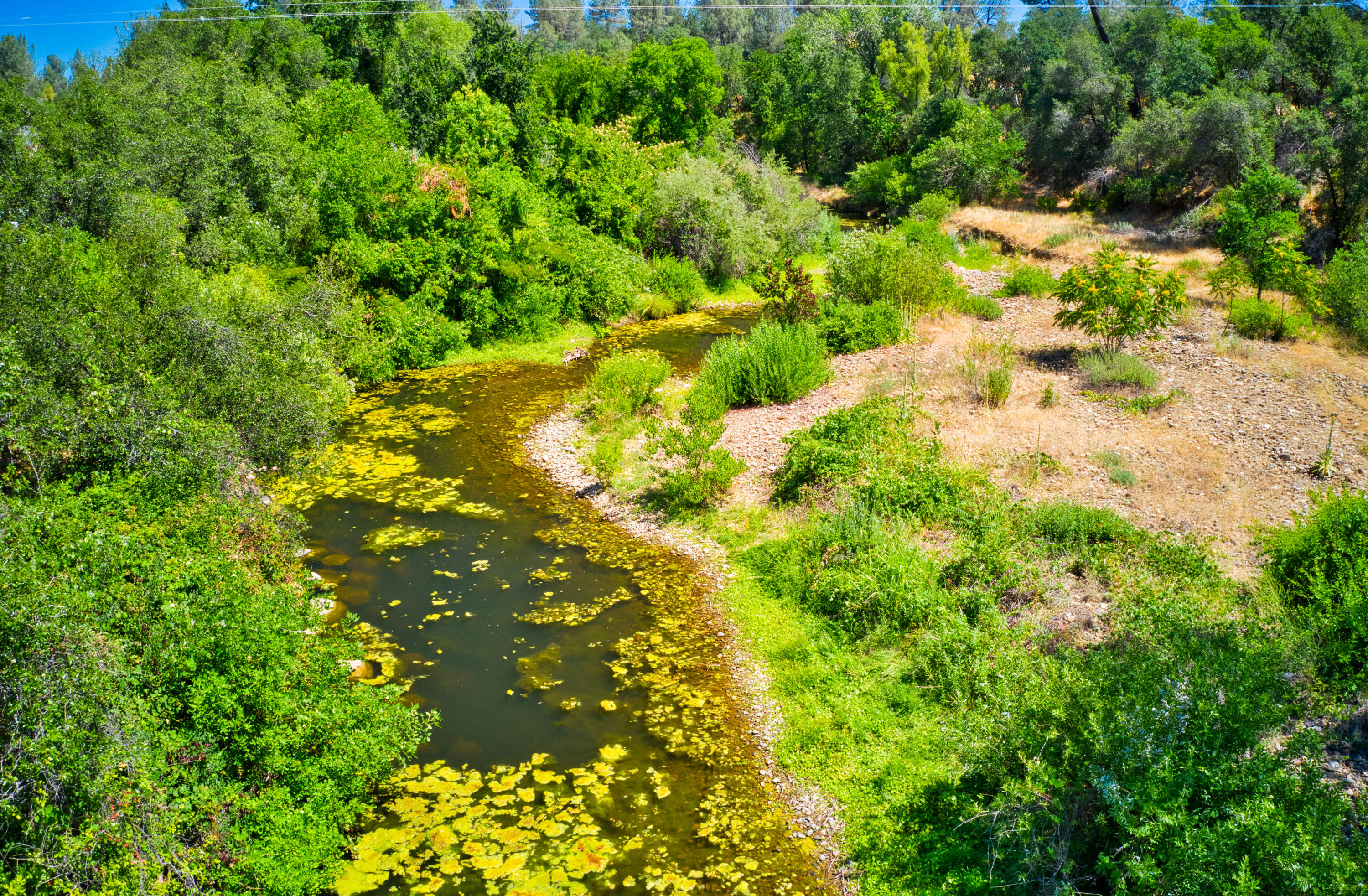 1906 Tarmac Road Redding, CA 96003 - Photo 43 of 48 HARRISONM-10