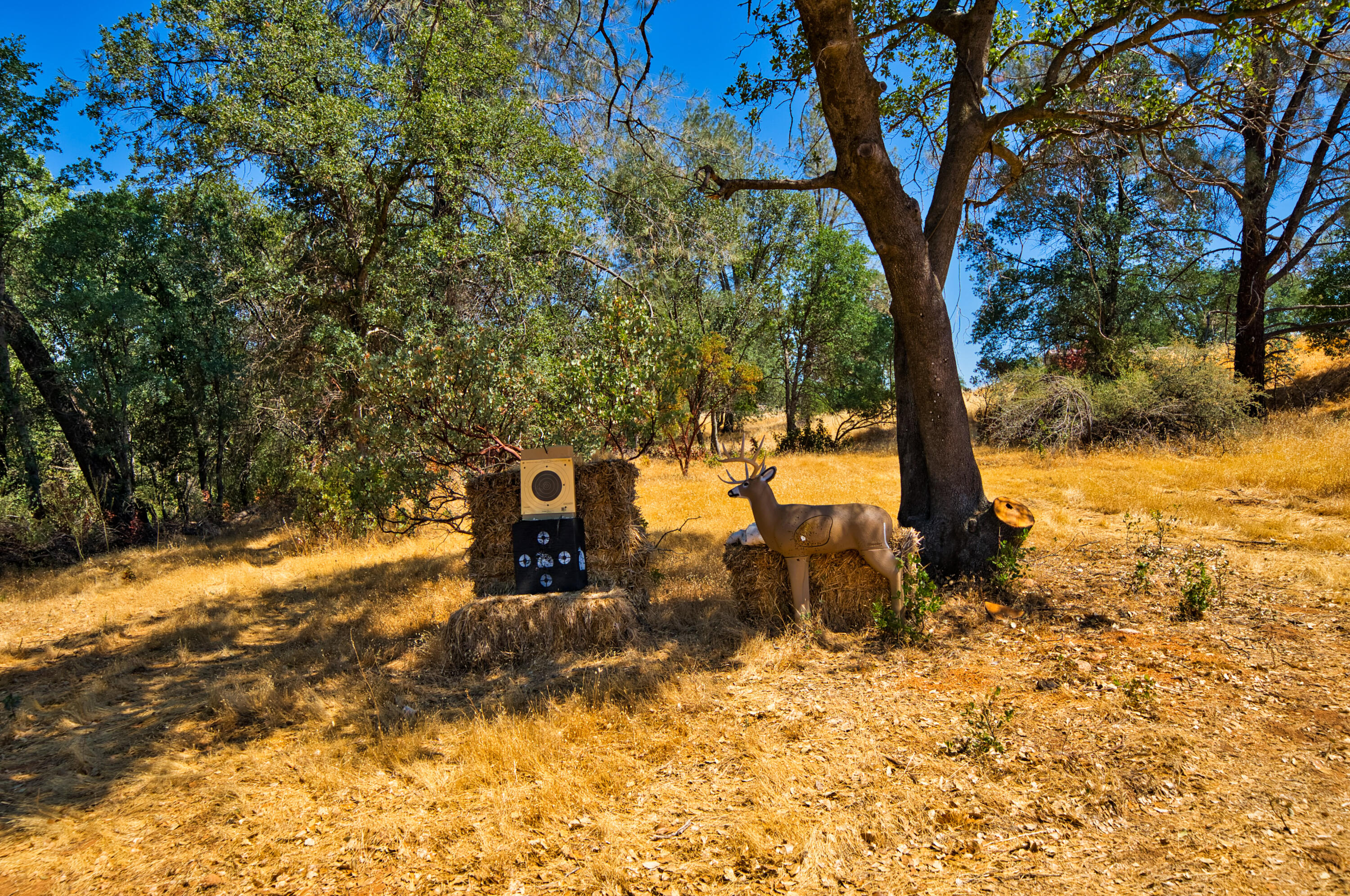 1906 Tarmac Road Redding, CA 96003 - Photo 46 of 48 HARRISONM-23