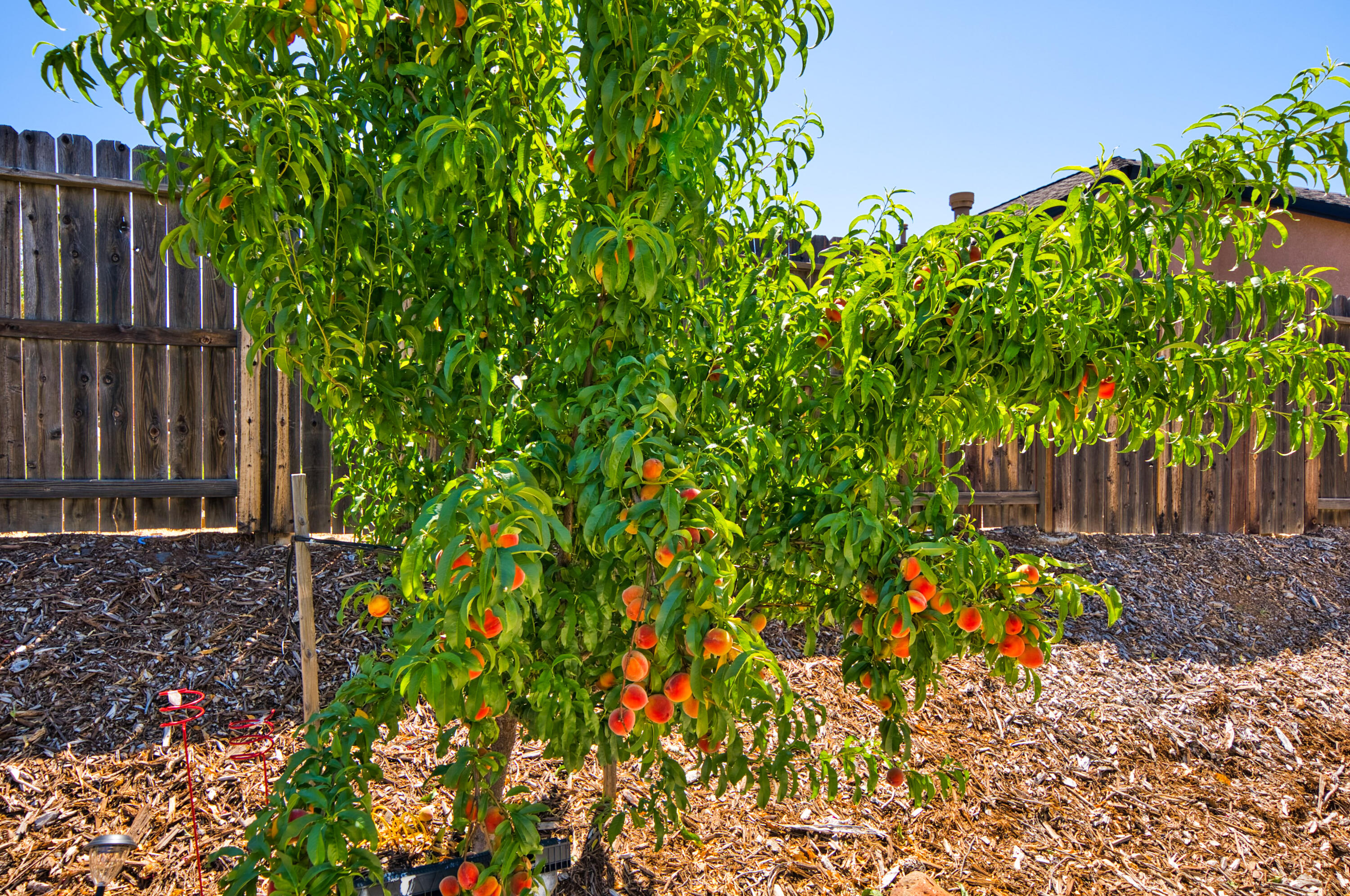1906 Tarmac Road Redding, CA 96003 - Photo 48 of 48 HARRISONM-35