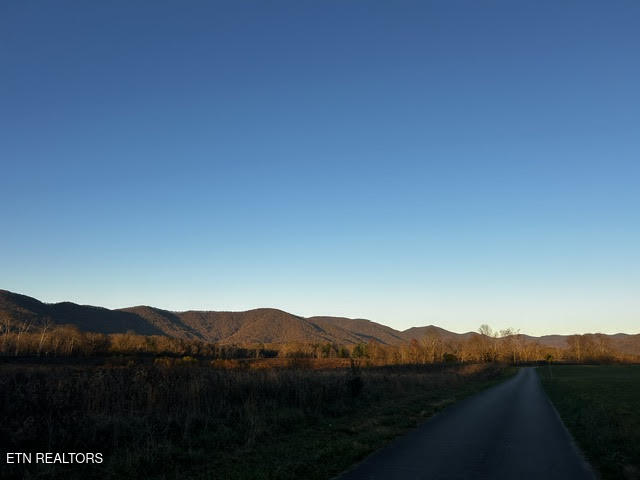 178 Winstead Road Wartburg, TN 37887 - Photo 3 of 22 3