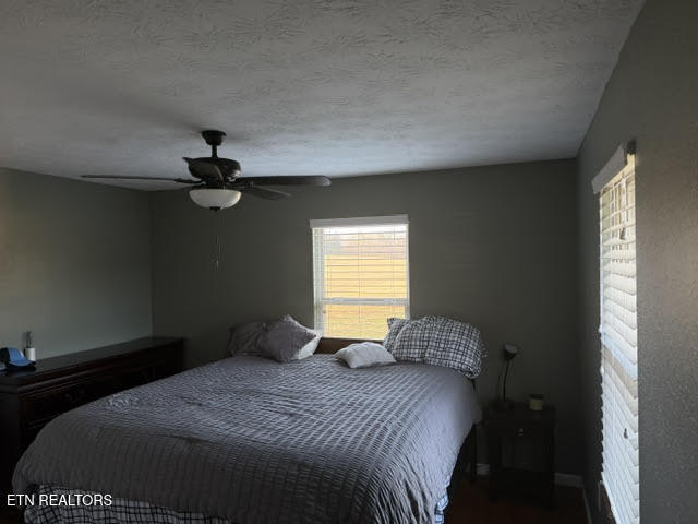 178 Winstead Road Wartburg, TN 37887 - Photo 5 of 22 5