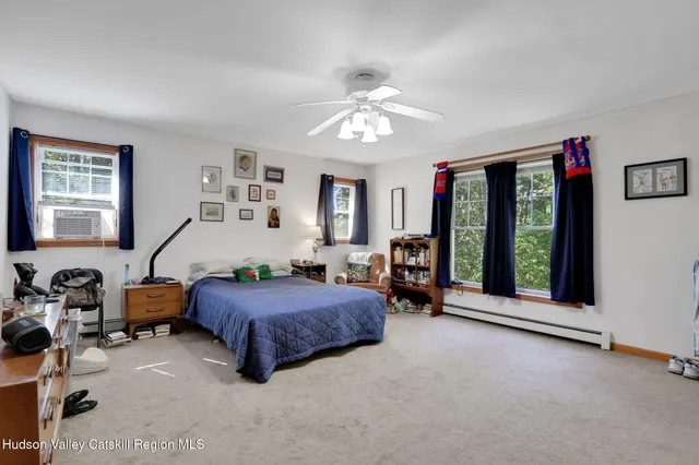 a view of a yard with plants and trees