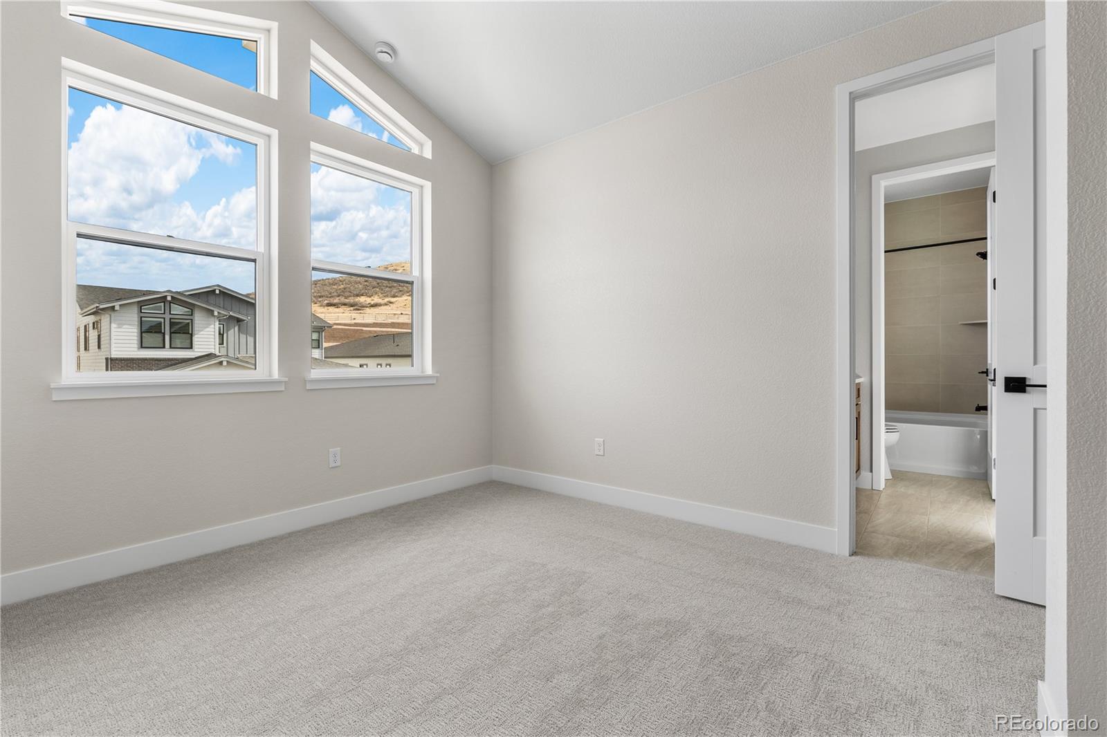 11133 Tenor Trail Lone Tree, CO 80134 - Photo 13 of 44