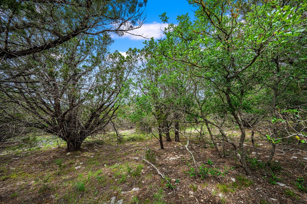 195 Countless Views Drive Kerrville, TX 78028 - Photo 11 of 13